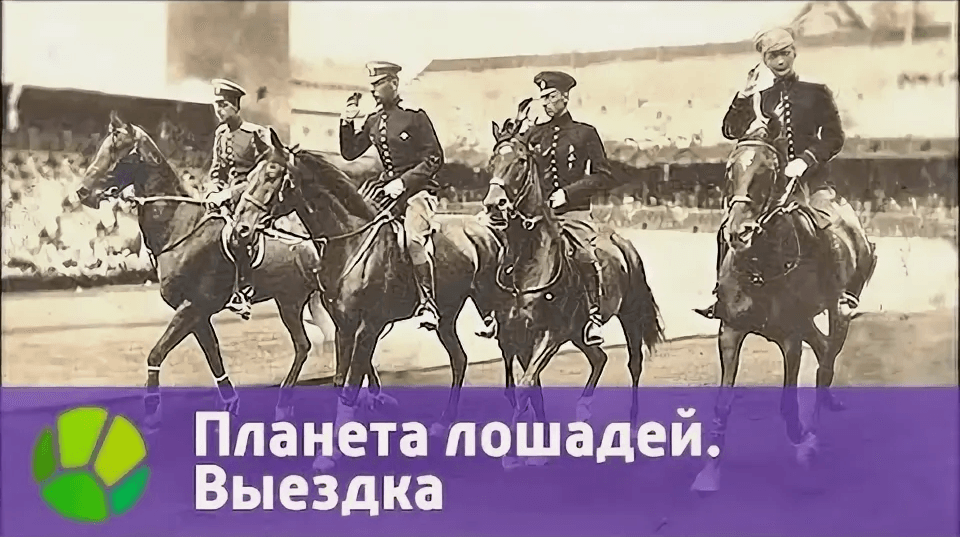 Планета Лошадей. Выездка.