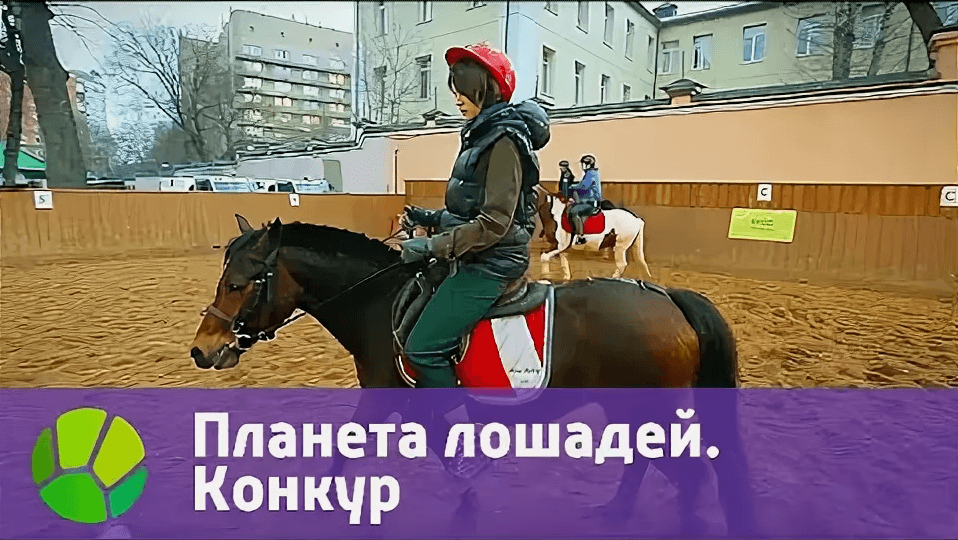 Планета лошадей. Конкур.
