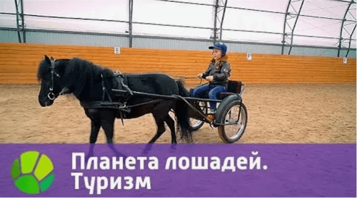 Планета лошадей. Туризм.